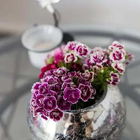 South Side Apartament Dubrownik