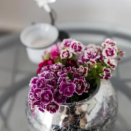 South Side * Dubrovnik