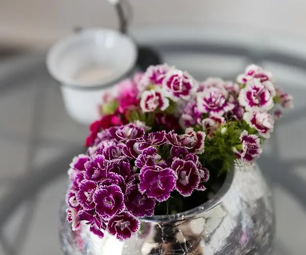 South Side * Dubrovnik